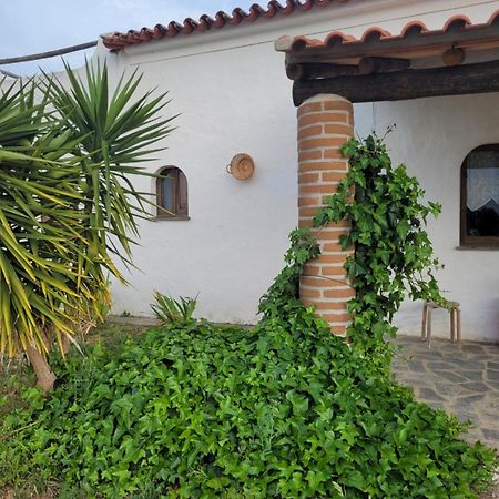 Quinta Da Belavista Villa Reguengos de Monsaraz Exteriör bild