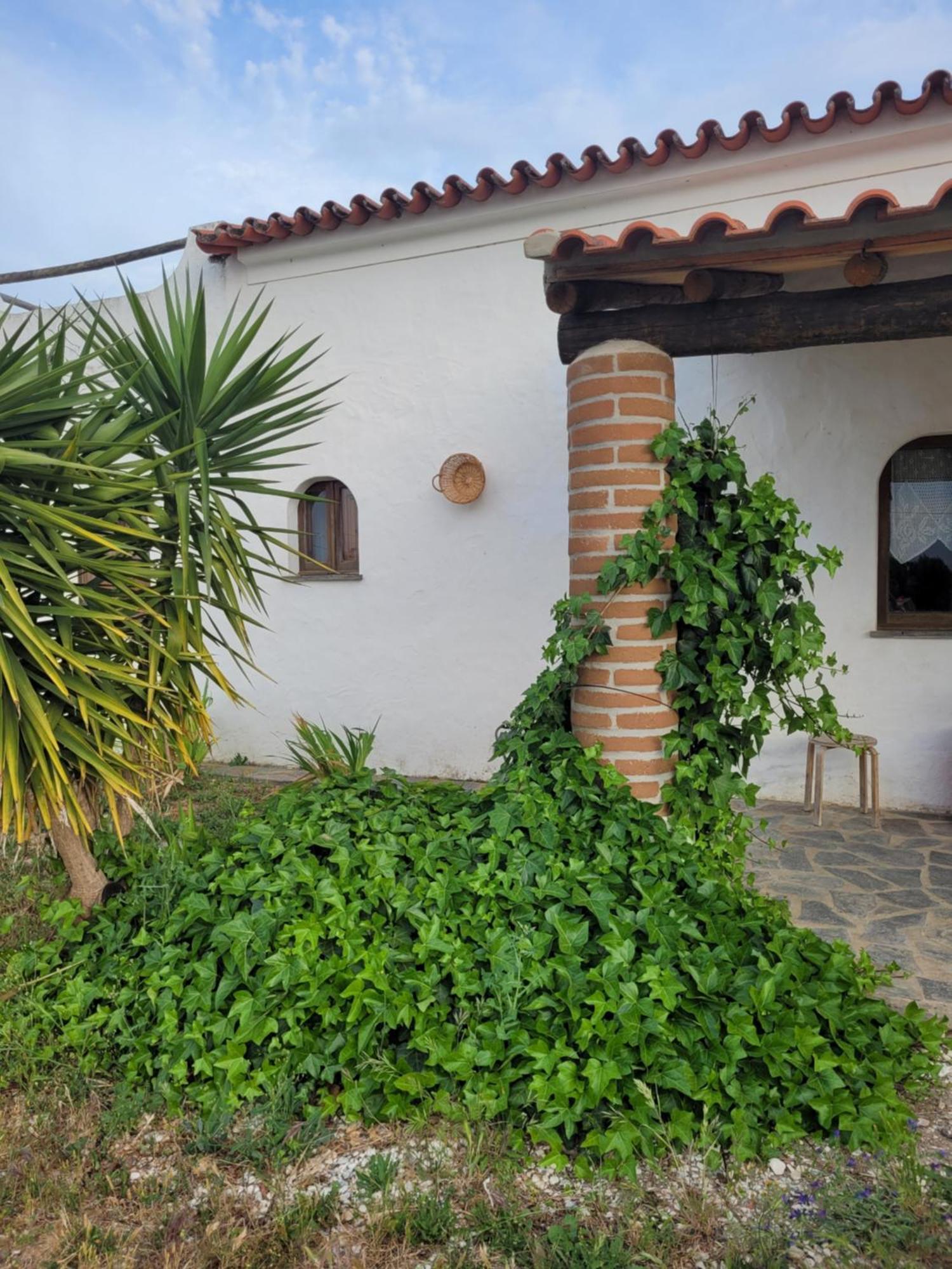 Quinta Da Belavista Villa Reguengos de Monsaraz Exteriör bild